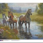 نقاشی الماسی کد 5163 FD
