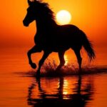 نقاشی الماسی کد 0020 FD